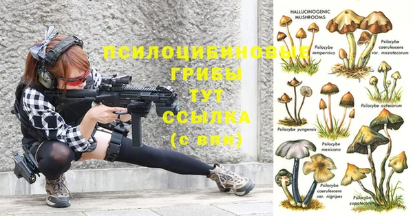 гашик Ачинск