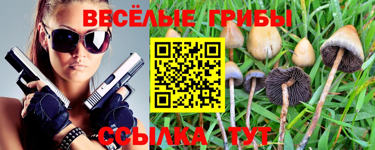 Псилоцибиновые грибы Cubensis  Вход с VPN  Ялуторовск 